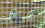 medium_IMG_7717_11zon