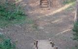 medium_image__3_