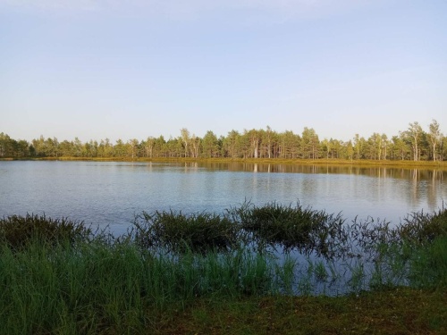 Популярные направления