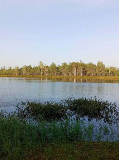 Популярные направления
