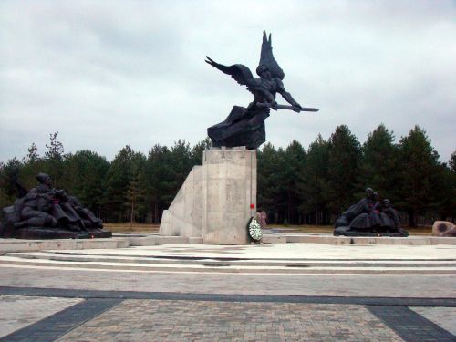Популярные направления